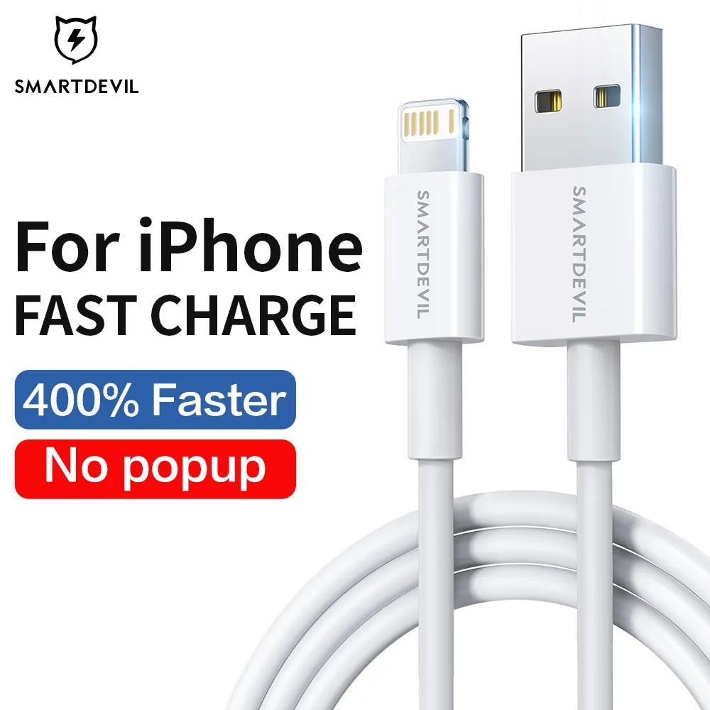 SmartDevil USB to Lightning Charging Cable